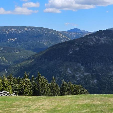 Rezidence Alpina - Apartman 15 Špindlerŭv Mlýn Exteriér fotografie