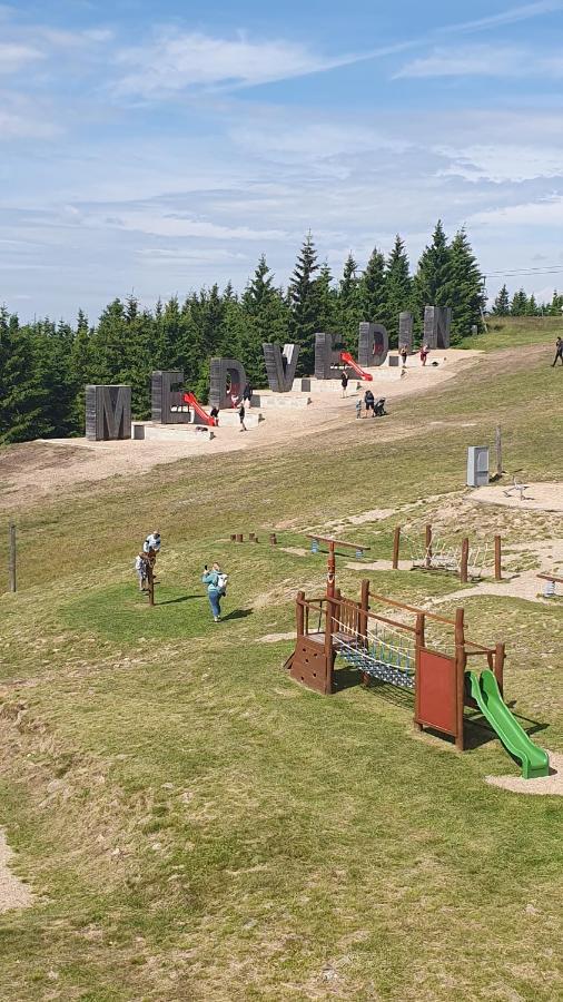 Rezidence Alpina - Apartman 15 Špindlerŭv Mlýn Exteriér fotografie